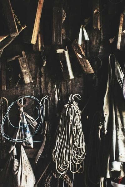 سلسلة الآداب والدراسات اللغوية المعاصرة